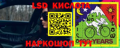 прущие грибы Славгород