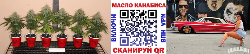 Дистиллят ТГК THC oil  купить наркотики сайты  Стрежевой 