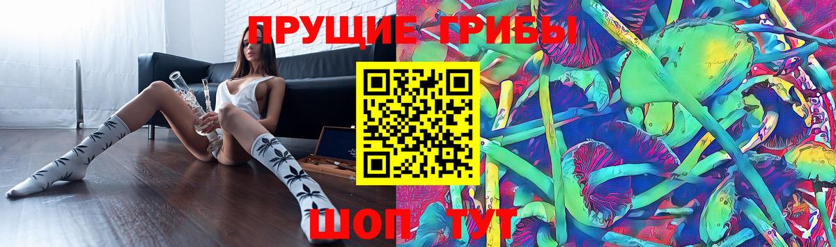 Стрежевой  Псилоцибиновые грибы Psilocybine cubensis  Вход с VPN 